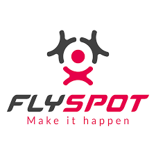 Flyspot Logo